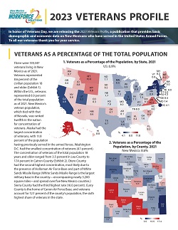 2023_Veterans_Profile_250