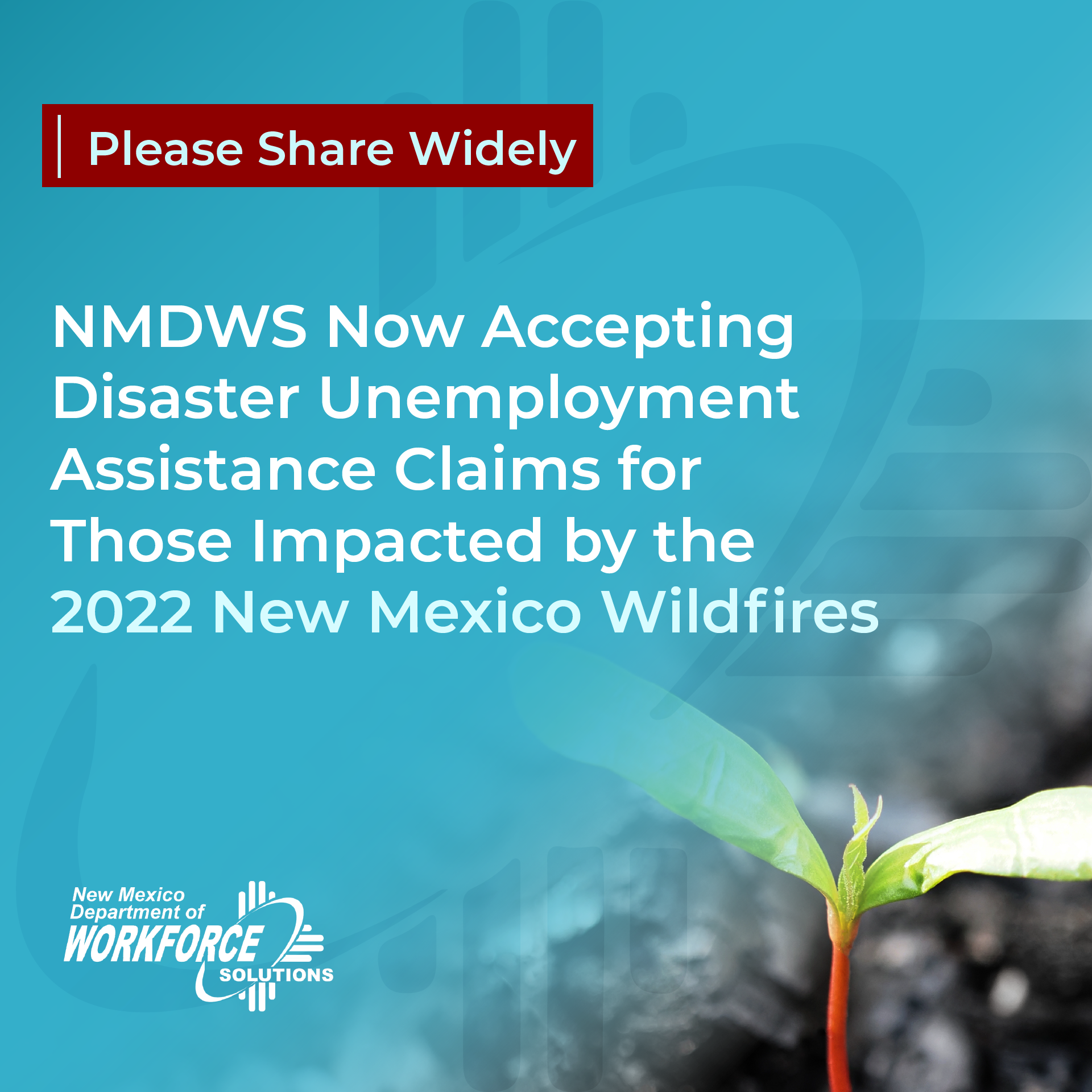 Disaster Unemployment Assitance
