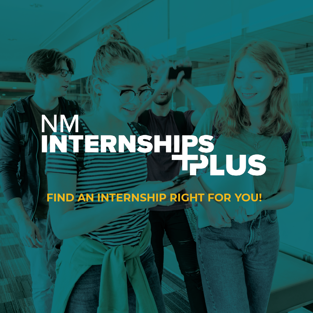 Internship Plus