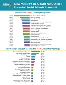 Occupational_Outlook_2025_Cover638987536190164456